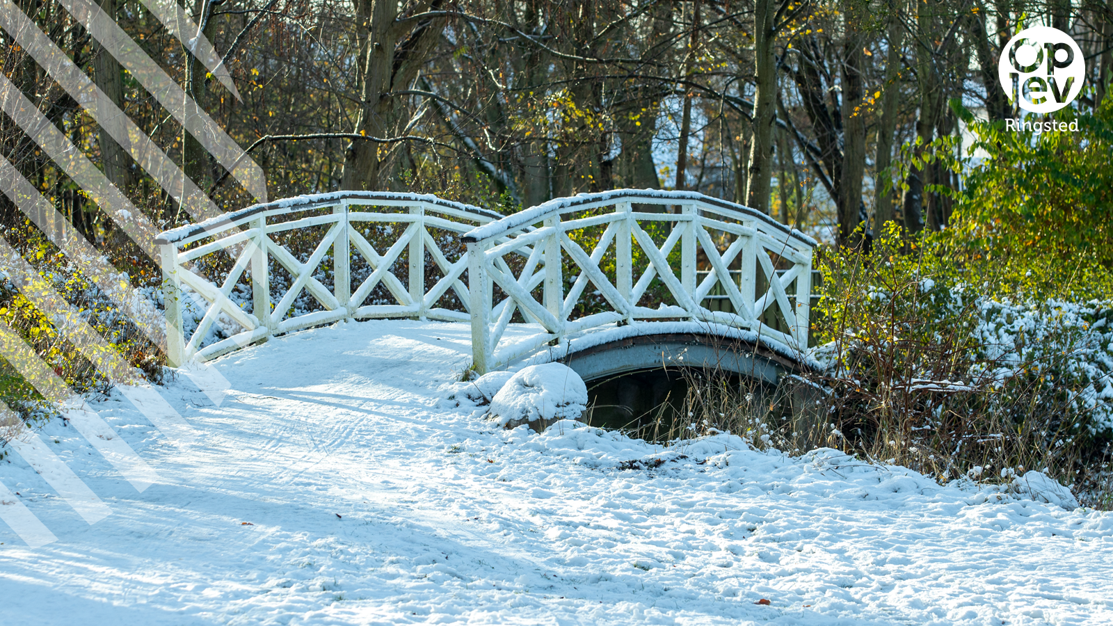 Vintertema: På med vandreskoene