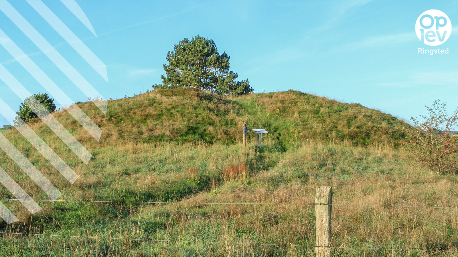 Cykelrute 1 Ringsted