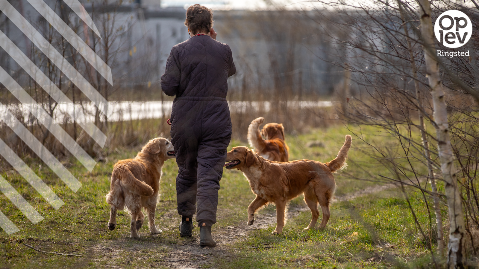 Forårstema hundeluftepladser
